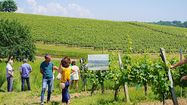 PRINTEMPS BIO - Les vignerons célèbrent la nature et la terre